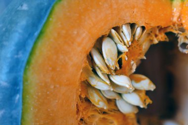 Yeni kabak çekirdekleri, kabak çekirdeği çekirdekleri, organik balkabağı,