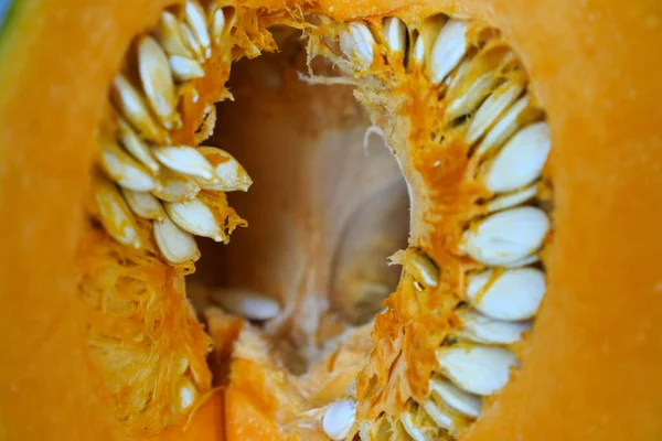 Nieuwe Pompoenpitten Pompoenpitten Biologische Pompoen — Stockfoto