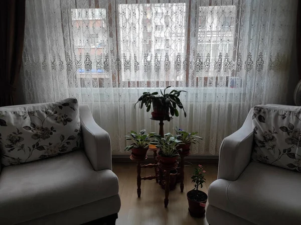 Evi ev çiçekleri ve süs bitkileriyle süslemek, evde çiçek yetiştirmek.,