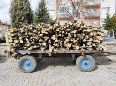 Tahta dolu bir karavan, bir traktör römorkuna yüklenmiş kavak ağacı.,