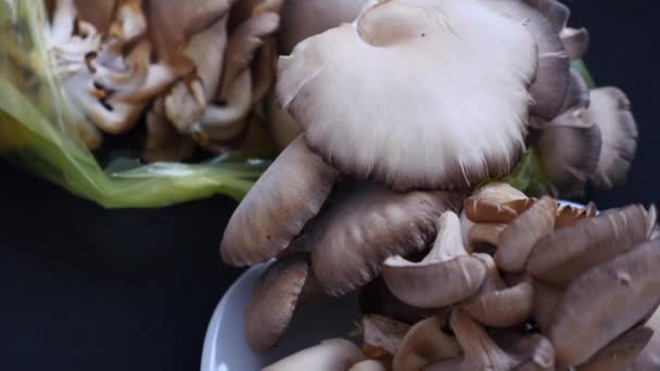 Grande Quantidade Cogumelos Ostra Uma Chapa Cogumelos Ostra Comestíveis Cogumelo — Vídeo de Stock