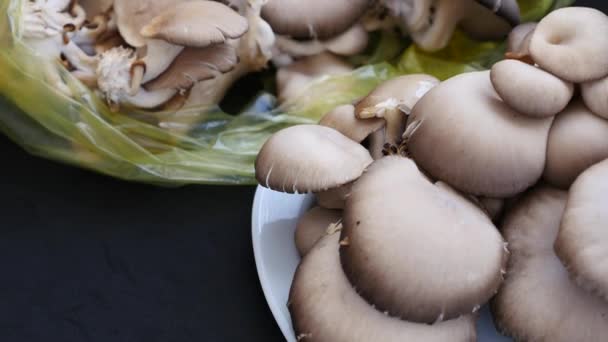 Gran Cantidad Champiñones Ostra Plato Champiñones Ostra Comestibles Champiñones Ostra — Vídeo de stock