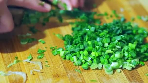 Picar Cebollas Verdes Para Ensalada Para Cena Una Persona Picando — Vídeos de Stock