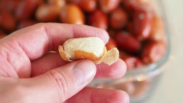 Een Persoon Toont Natuurlijke Rijpe Oleaster Vruchten Zijn Hand — Stockvideo