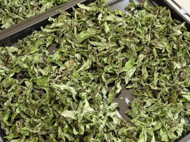 Evde nane şekeri kurutmak, büyük tepsilerde kurutulmuş nane şekeri, nane şekeri.,