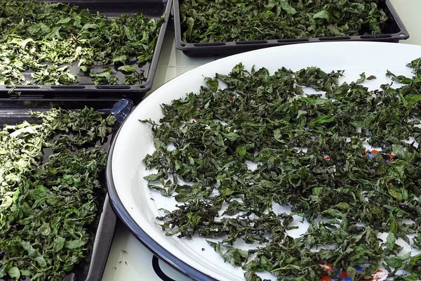 Nane şekerini kurutmak, güneşte nane şekerini kurutmak, kuru nane şekerini kurutmak, evde nane şekerini kurutmak.,