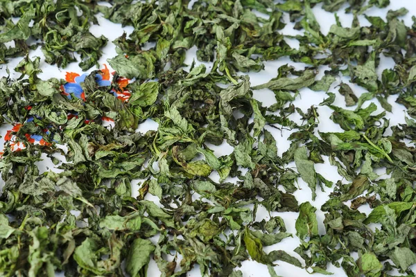 Menta Seca Luz Del Día Verano Menta Seca Primer Plano — Foto de Stock