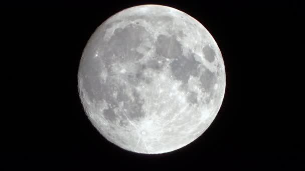 Primer Plano Luna Llena Video Noche Luna Llena Imagen Para — Vídeos de Stock