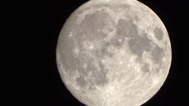 보름달이 다큐멘터리와 영화를 보름달 — 비디오