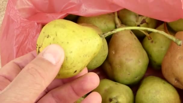 Stor Mängd Naturliga Päron Ekologiska Päron Frukt Påse — Stockvideo