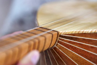 Türk müzik enstrümanları, Türk müzik enstrümanları, yakın çekim sazlar uzun boyun saz-baglama,