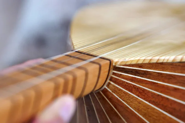 Türk müzik enstrümanları, Türk müzik enstrümanları, yakın çekim sazlar uzun boyun saz-baglama,