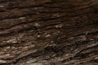 Yüksek kontrastlı ahşap doku ve iyi çözünürlük