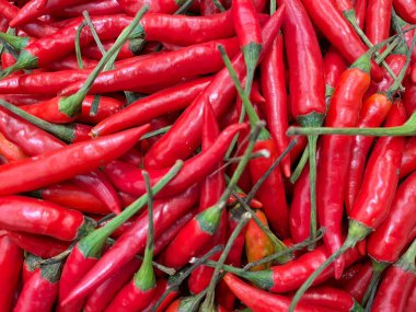 Kırmızı Pul Biber arka plan