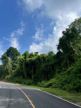 Ağaçların, dağların ve gökyüzünün doğal manzarası 