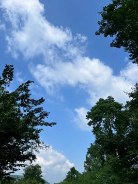 ağaçların, dağların ve gökyüzünün doğal görüntüsü