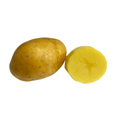 Patatesler beyaz arkaplanda izole