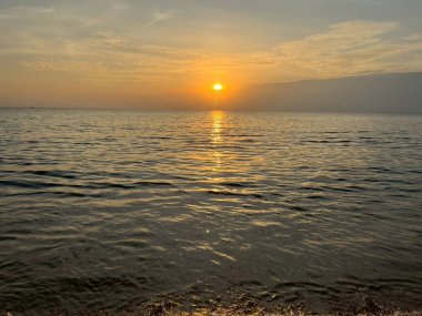 Çimenlerin üzerinde bir kelebeğin yakın plan görüntüsü