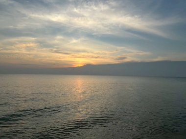 Çimenlerin üzerinde bir kelebeğin yakın plan görüntüsü