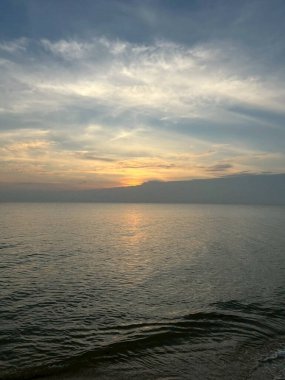 Çimenlerin üzerinde bir kelebeğin yakın plan görüntüsü