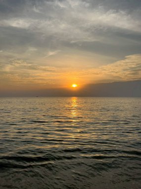 Çimenlerin üzerinde bir kelebeğin yakın plan görüntüsü