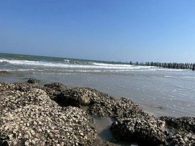 Deniz, kumlu sahil, sahildeki kayalar, parlak mavi gökyüzü.