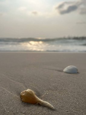 Deniz ve kumsal sabah