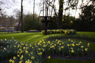 Yerde bir sürü çiçek var.