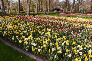 Yerde bir sürü çiçek var.