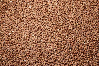 Çiğ karabuğday filizleri doğal bir tahıl ürünü olarak toplu olarak sergilenir. Sağlıklı yeme, organik gıda, tahıl ve beslenme kavramı.