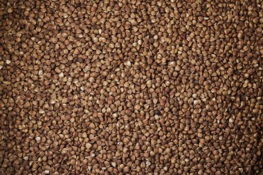 Çiğ karabuğday filizleri doğal bir tahıl ürünü olarak toplu olarak sergilenir. Sağlıklı yeme, organik gıda, tahıl ve beslenme kavramı.