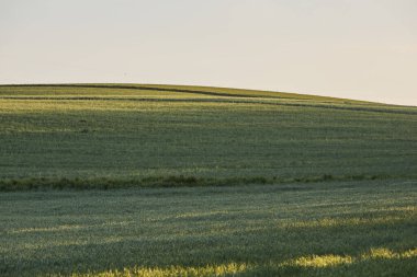 Kırsal alanlarda yürüyen bir patikanın yer aldığı huzurlu Alman kırsal arazisi. Doğa kavramı, açık hava eğlencesi, seyahat ve yavaş yaşam..