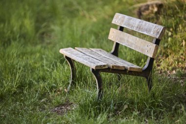 Kırsal alanlarda yürüyen bir patikanın yer aldığı huzurlu Alman kırsal arazisi. Doğa kavramı, açık hava eğlencesi, seyahat ve yavaş yaşam..