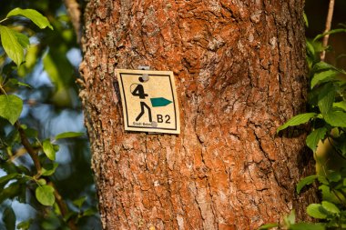 Kırsal alanlarda yürüyen bir patikanın yer aldığı huzurlu Alman kırsal arazisi. Doğa kavramı, açık hava eğlencesi, seyahat ve yavaş yaşam..