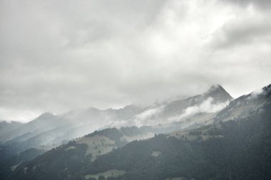 Güçlü şahin, görkemli dağların arka planına doğru yükseliyor. Bu dinamik vahşi yaşam sahnesi Alplerin özgürlüğünü, gücünü ve doğal güzelliğini yansıtıyor. Yırtıcı kuşlar, vahşi yaşam, doğa, özgürlük kavramları için idealdir.