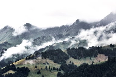 Görkemli dağ zirveleri, yemyeşil yamaçlar ve mavi gökyüzünde sürüklenen dramatik bulutlarla İsviçre Alpleri 'nin nefes kesici yaz manzarası. Bu doğal manzara, yazın İsviçre 'nin güzelliğini, tazeliğini ve huzurunu yansıtıyor.