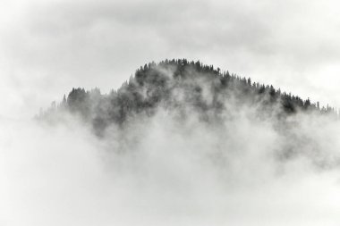 Görkemli dağ zirveleri, yemyeşil yamaçlar ve mavi gökyüzünde sürüklenen dramatik bulutlarla İsviçre Alpleri 'nin nefes kesici yaz manzarası. Bu doğal manzara, yazın İsviçre 'nin güzelliğini, tazeliğini ve huzurunu yansıtıyor.