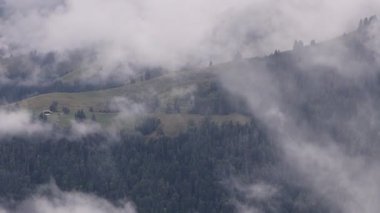 İsviçre 'deki Niesen Dağı' nın karamsar manzarası sisle kaplıydı. Sahne atmosferik alp koşullarını, yumuşak ışığı ve dağ manzarasının gizemini yakalar. Doğa, seyahat, hava, manzara fotoğrafçılığına elverişli