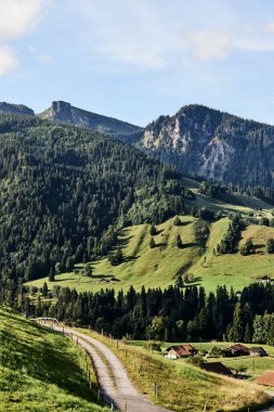 İsviçre Alplerinde, Thun Gölü 'ne bakan güneşli bir gün. Sahne açık hava, dağlık dağları ve sakin göl sularını gözler önüne sererek İsviçre 'nin doğal güzelliğini gözler önüne seriyor. Seyahat, turizm, doğa ve açık hava kavramları için uygundur.