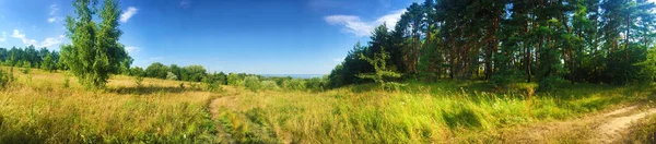 Belo Panorama Prado Borda Floresta Perto Kaniv Reservoir Shore Ucrânia — Fotografia de Stock