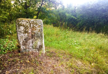 Eski bir mezarlıkta, yeşil ağaçların arasına kazınmış kölelik yazıtları olan eski bir mezar taşı.