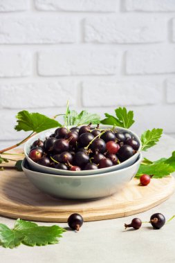 Siyah frenk üzümü ve bektaşi üzümünün bir kasedeki karışımı (Ribes x nidigrolaria).