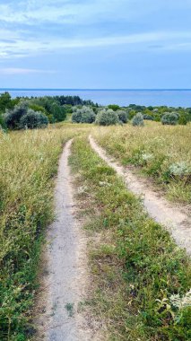 Ukrayna 'nın Çerkasya bölgesindeki uzak Kaniv Barajı' nın sakin bir gökyüzü altında uzanan uzun çimenler ve gümüşi ağaçların arasından huzurlu bir toprak yol esiyor..