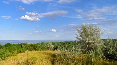 Ukrayna 'nın Çerkasya bölgesindeki Kaniv Barajı' nın geniş manzarası. Parlak mavi bir gökyüzü altında yeşil tepeler ve yemyeşil ormanlar..