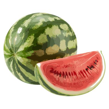 Daha koyu yeşil çizgileri ve görünür tohumları olan parlak kırmızı bir içi olan yeşil çizgileri sergilenen bir karpuz ayrıntısı. Karpuz dilimlenmiş bir meyve gibi tasvir edilir. İçindeki sulu kırmızı et ve siyah tohumları ortaya çıkarır..