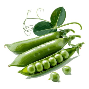 Taze bezelye ve yapraklı yeşil bezelye kabukları. Bezelye ve kabukların canlı yeşil rengi vurgulanıyor ve bezelyelerin bir kısmı kabukların dışında gösteriliyor. Bezelye bitkisinin yaprakları ve sapları doğal ve organik bitkilere eklenir.