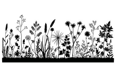 Çeşitli kır çiçekleri ve bitkilerden oluşan detaylı bir siyah beyaz. Kompozisyonda, doğal ve organik bir desen içinde farklı türde çiçek, yaprak ve gövde içeren çeşitli botanik örnekleri sergilenmektedir. Siluet biçiminde yapılmış, cre