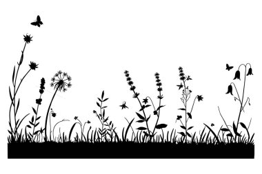 Farklı kır çiçekleri ve otlarla dolu siyah beyaz bir çayır silueti. Sahnede karahindiba, çan çiçekleri ve aralarında birkaç kelebeğin uçtuğu diğer vahşi bitkiler yer alıyor. Kompozisyon detaylı, showcasi