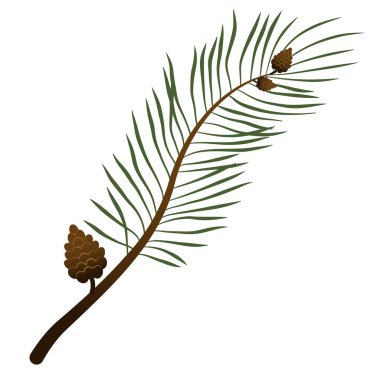 Elle boyanmış kış bitkileri. Yeşillik bir çam dalının çizimleri. Tasarım, baskı, arkaplan veya tebrik kartı için bir köknar konisiName.