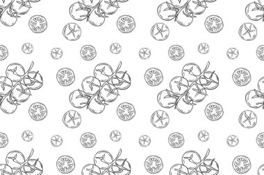 Domatesli hatları kusursuz. Sebzeli dalların karalama çizimi. Sağlıklı yeme illüstrasyonu.